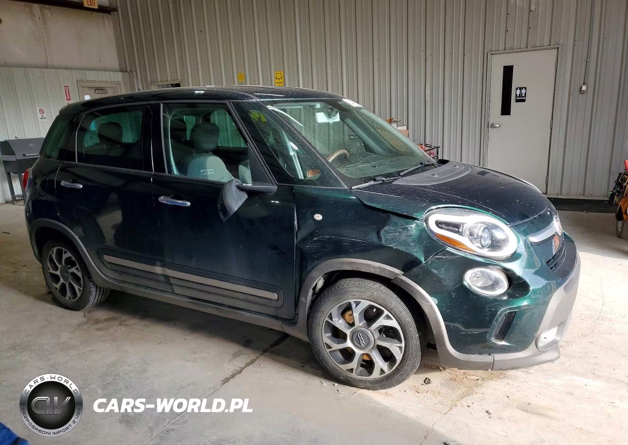 2014 Fiat 500L Trekking VIN:ZFBCFADHXEZ017654 - 4
