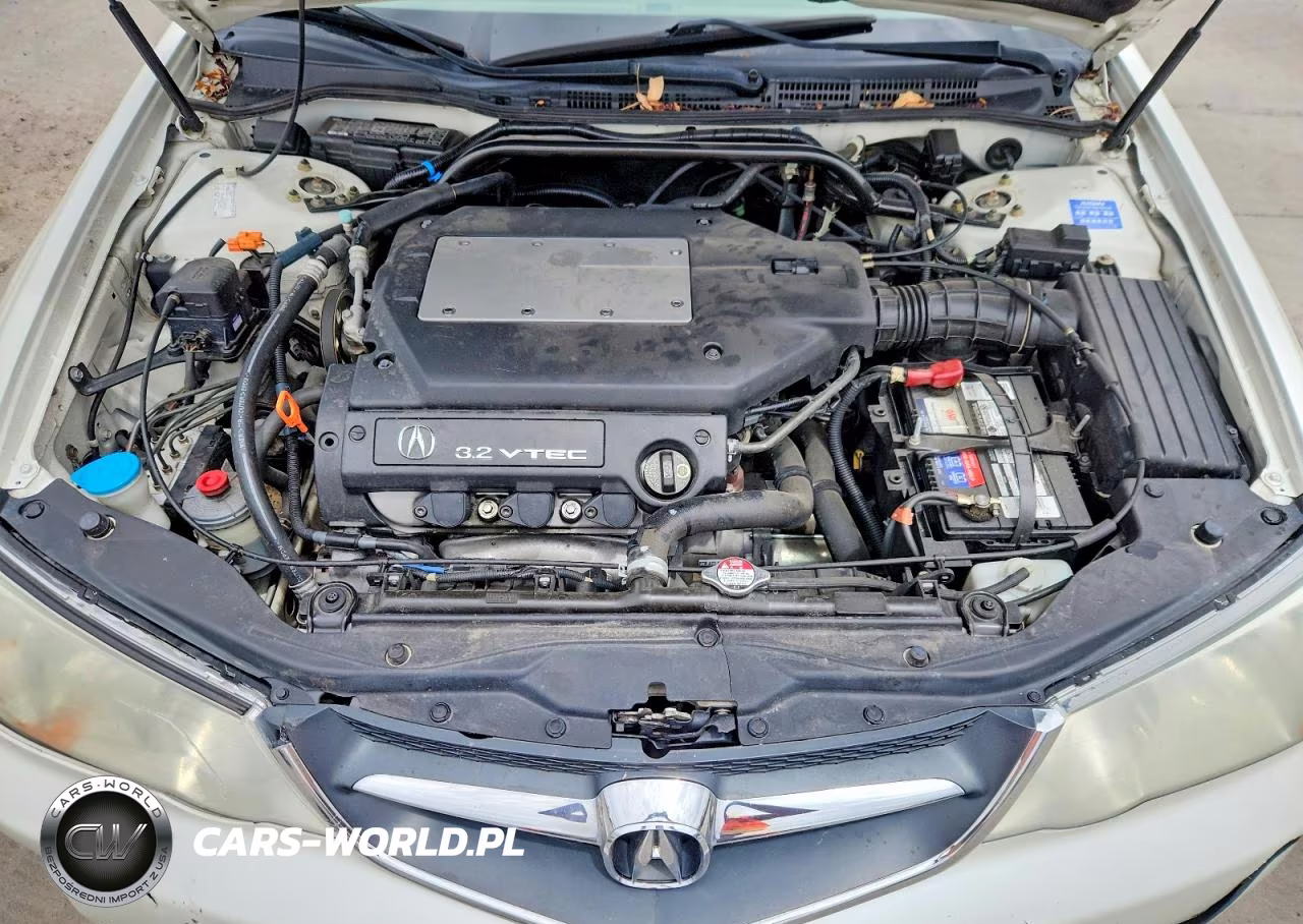 2002 Acura 3.2Tl VIN:19UUA56612A038987 - 11