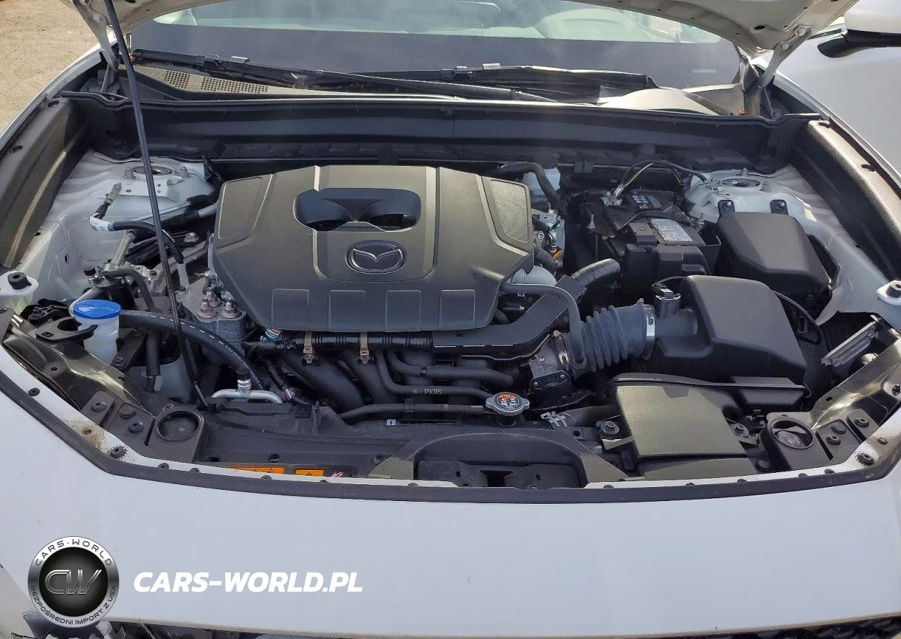 2023 Mazda Cx-30 Preferred VIN:3MVDMBCM9PM555941 - 12