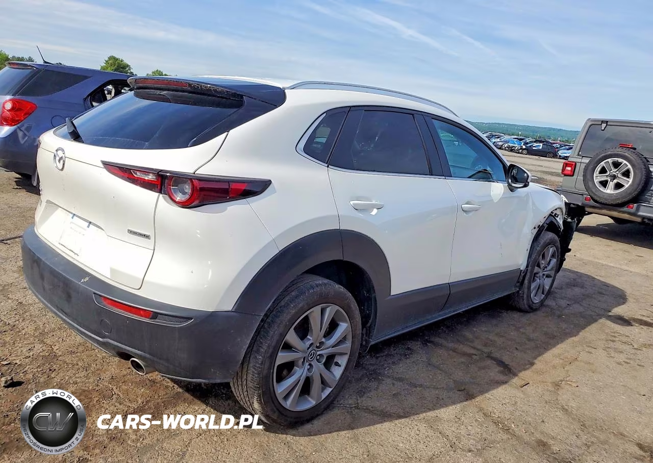 2023 Mazda Cx-30 Preferred VIN:3MVDMBCM9PM555941 - 3