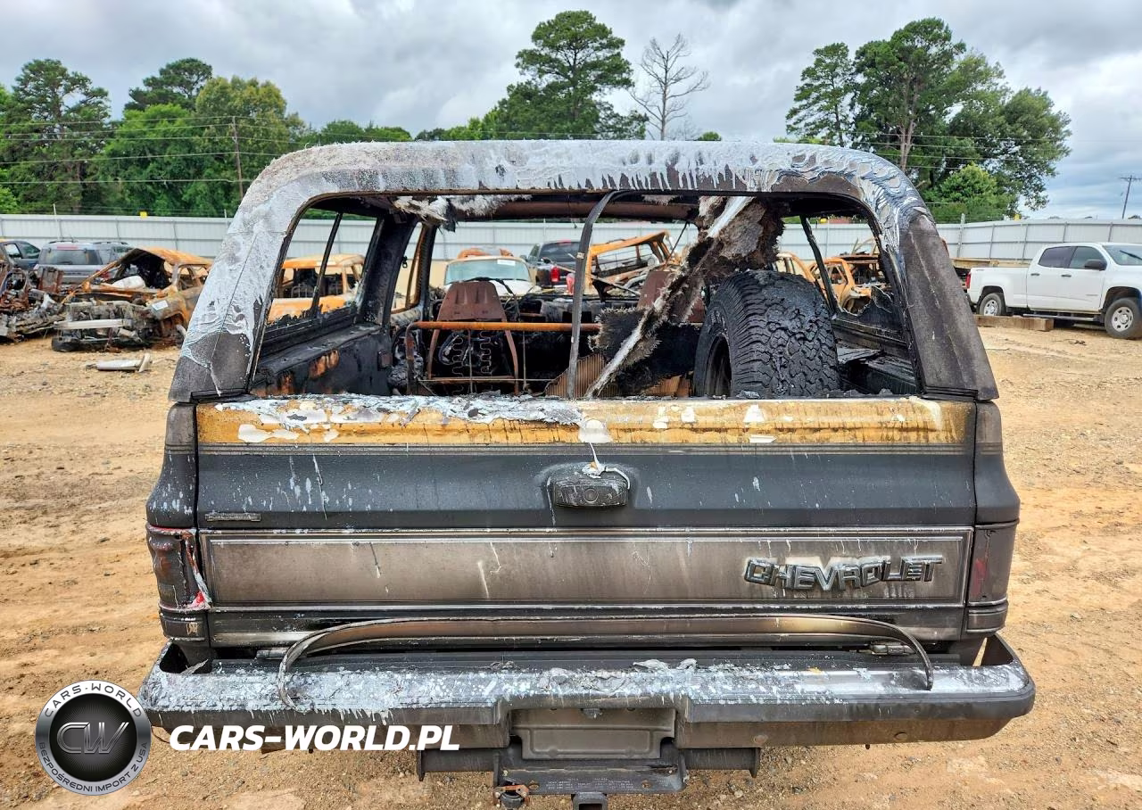 1988 Chevrolet Blazer V10 VIN:1GNEV18K8JF133758 - 6