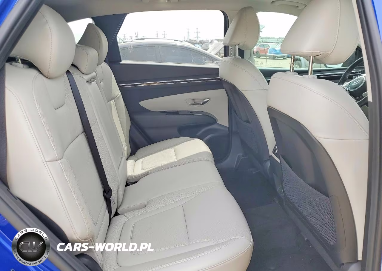 2023 Hyundai Tucson Limited VIN:5NMJECAE5PH291901 - 10