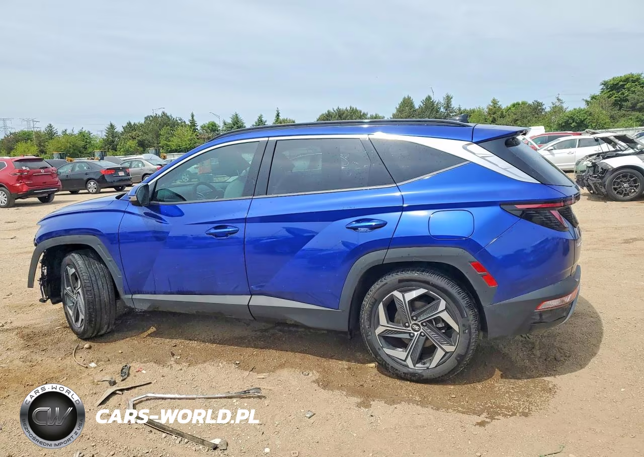 2023 Hyundai Tucson Limited VIN:5NMJECAE5PH291901 - 2