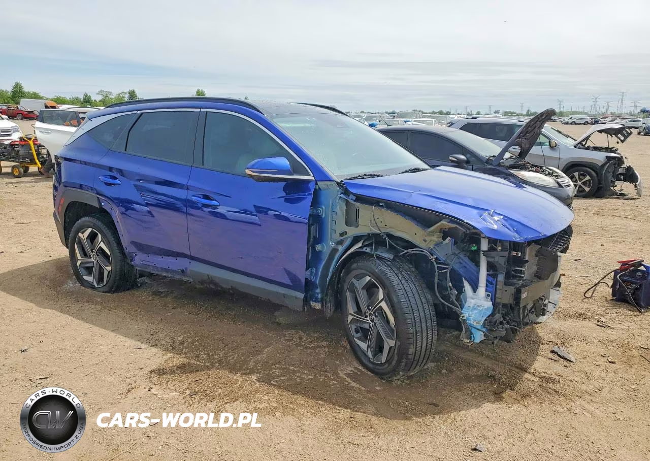 2023 Hyundai Tucson Limited VIN:5NMJECAE5PH291901 - 4