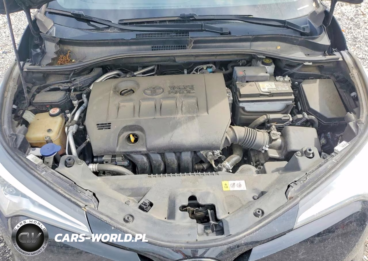 2019 Toyota C-Hr Le VIN:NMTKHMBX6KR079403 - 11