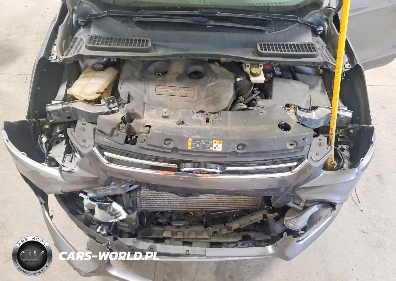 2013 Ford Escape Sel VIN:1FMCU9H93DUA34145 - 12