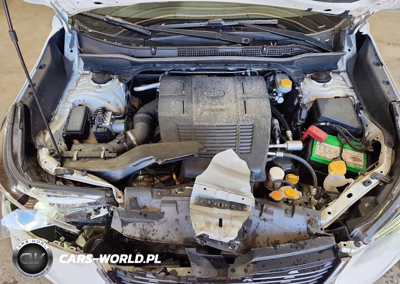 2019 Subaru Forester Limited VIN:JF2SKAUC1KH559897 - 12