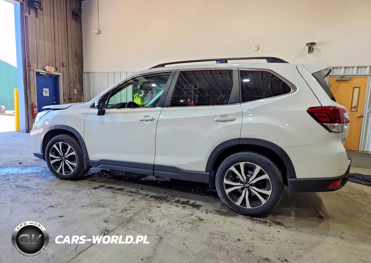 2019 Subaru Forester Limited VIN:JF2SKAUC1KH559897 - 2