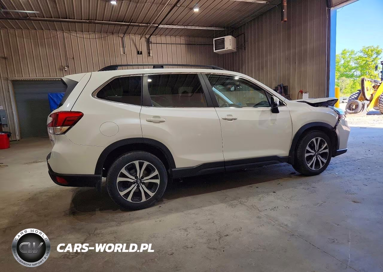 2019 Subaru Forester Limited VIN:JF2SKAUC1KH559897 - 3