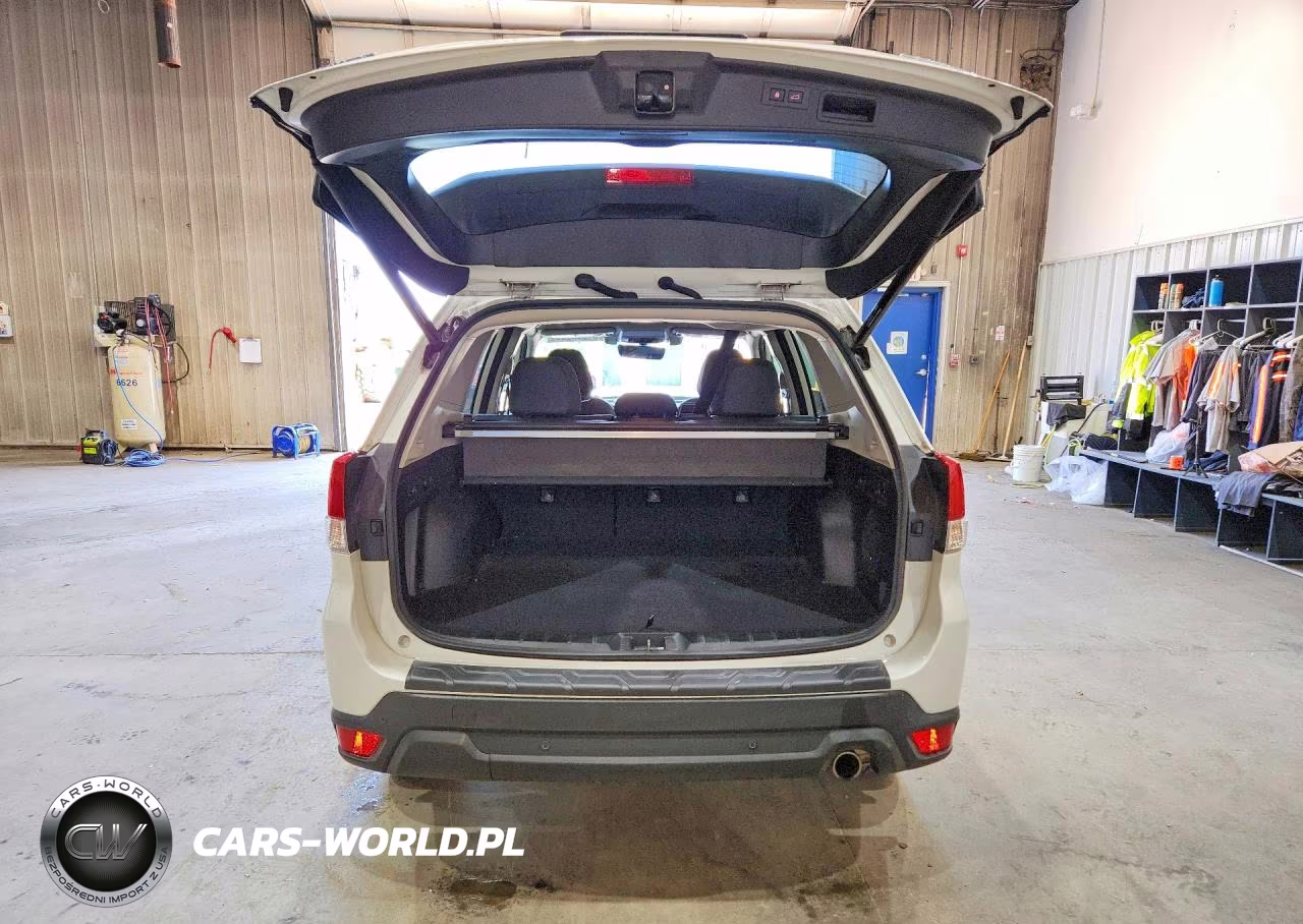 2019 Subaru Forester Limited VIN:JF2SKAUC1KH559897 - 6