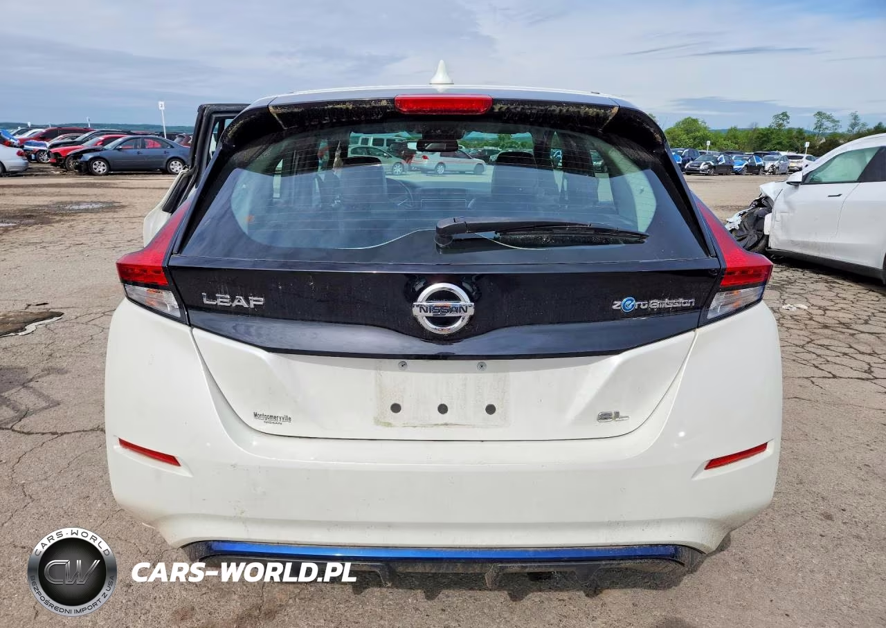 2018 Nissan Leaf Sl VIN:1N4AZ1CP0JC300586 - 6