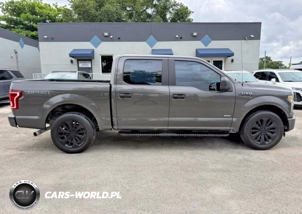 2016 Ford F150 Supercrew VIN:1FTEW1CP9GKF90720 - 13