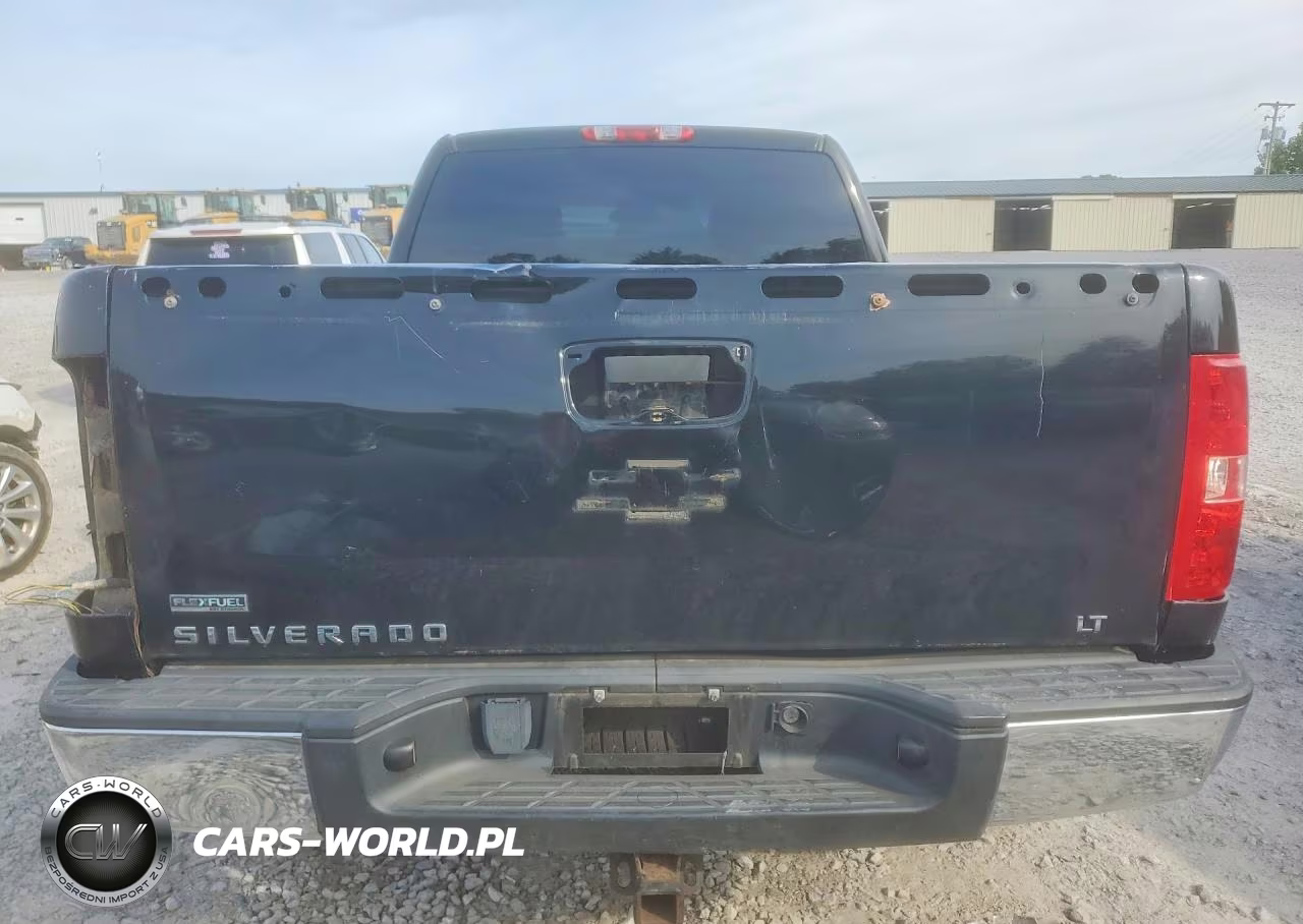 2010 Chevrolet Silverado VIN:1GCSKSE32AZ139335 - 6