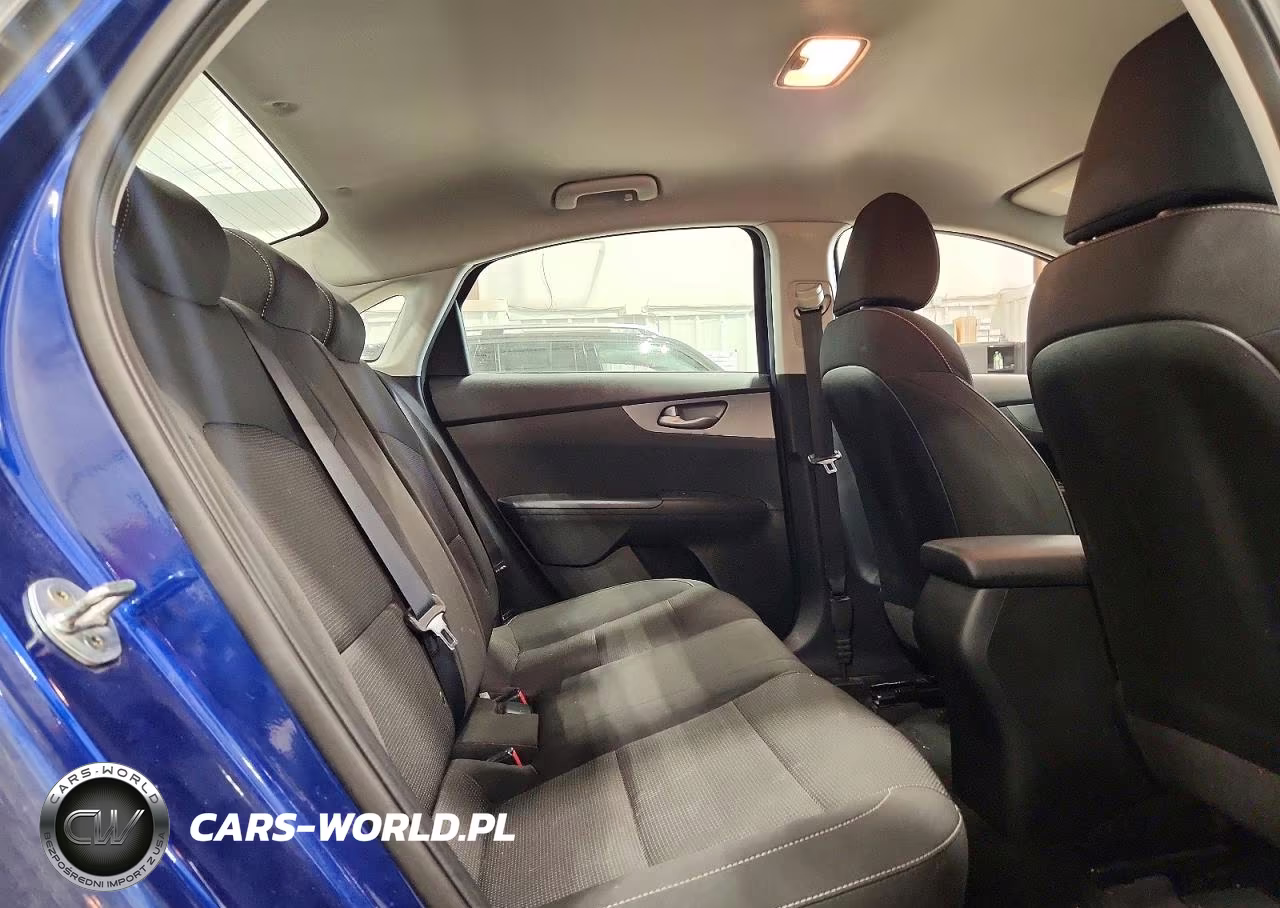 2019 Kia Forte Lxs VIN:3KPF24ADXKE058494 - 10