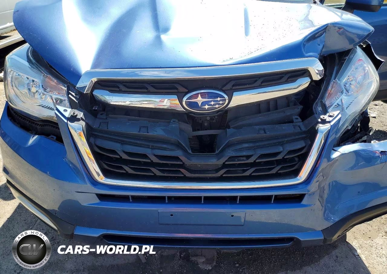 2018 Subaru Forester 2.5I Premium VIN:JF2SJAEC7JH475079 - 12