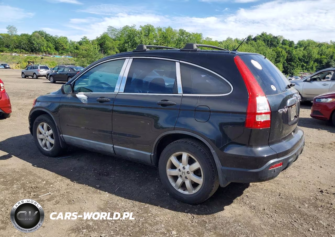 2009 Hond Cr-V VIN:5J6RE48369L008527 - 2