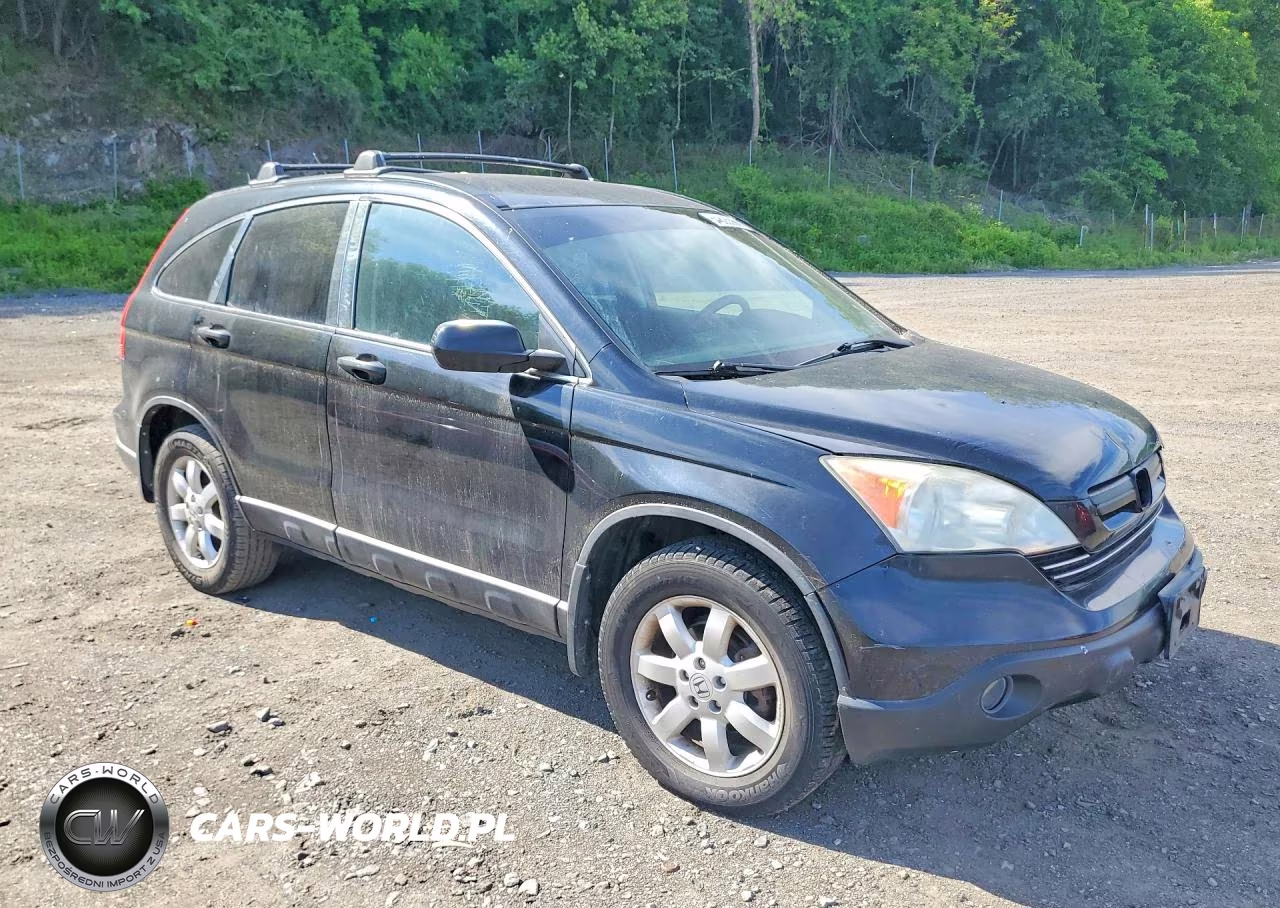 2009 Hond Cr-V VIN:5J6RE48369L008527 - 4