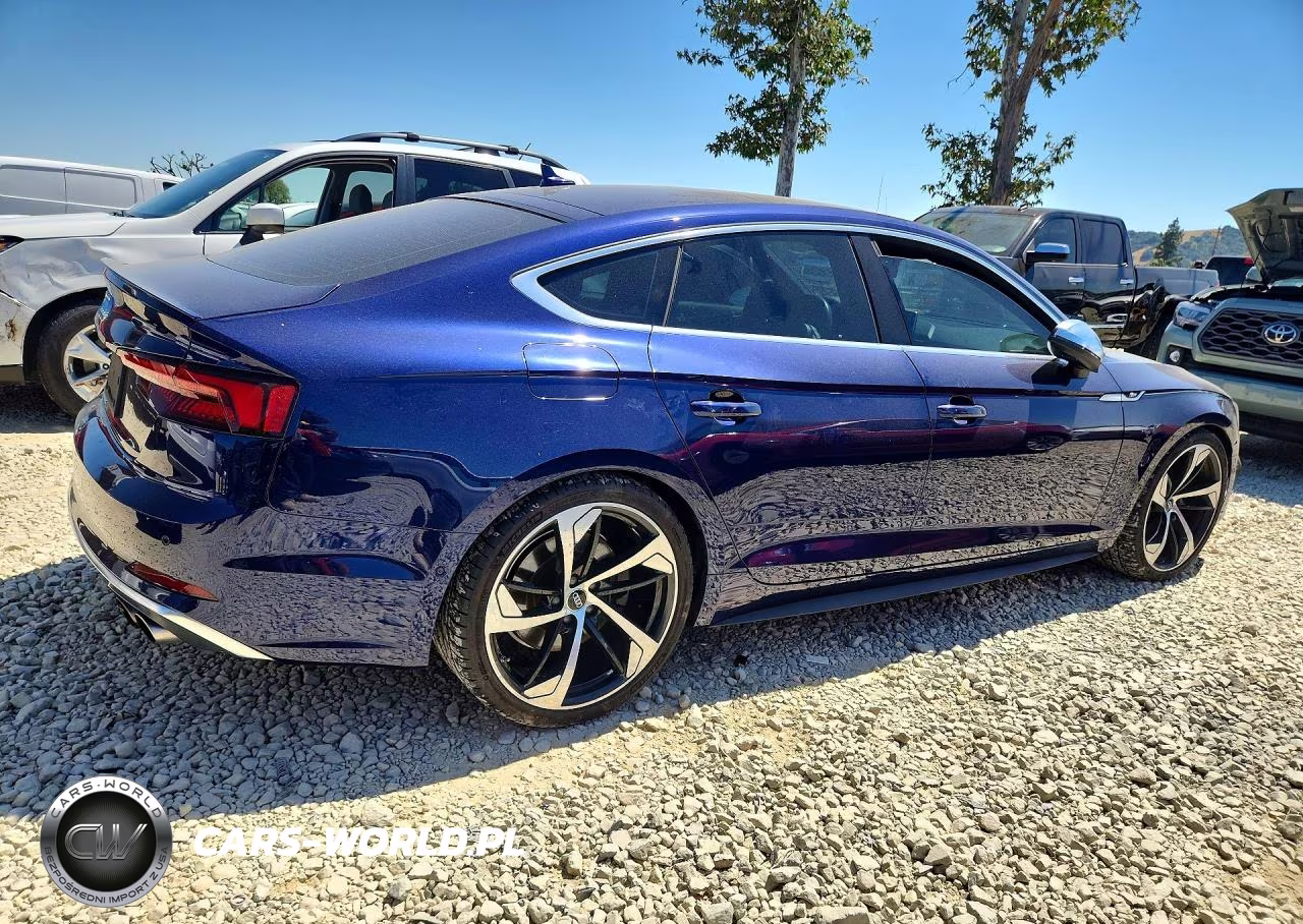 2019 Audi S5 Prestige VIN:WAUC4CF56KA074572 - 3