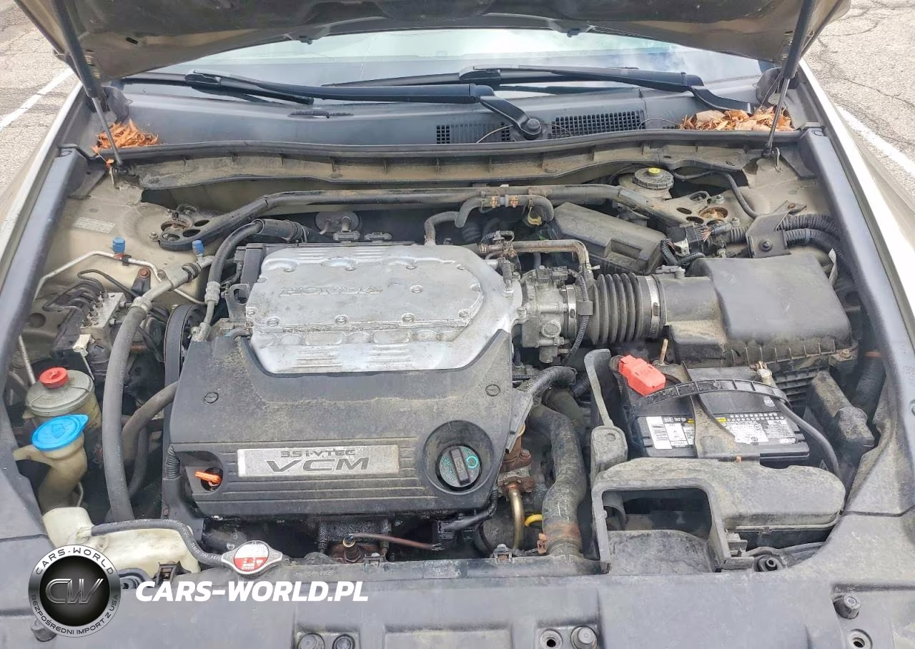2010 Honda Accord Exl VIN:1HGCP3F81AA001324 - 11