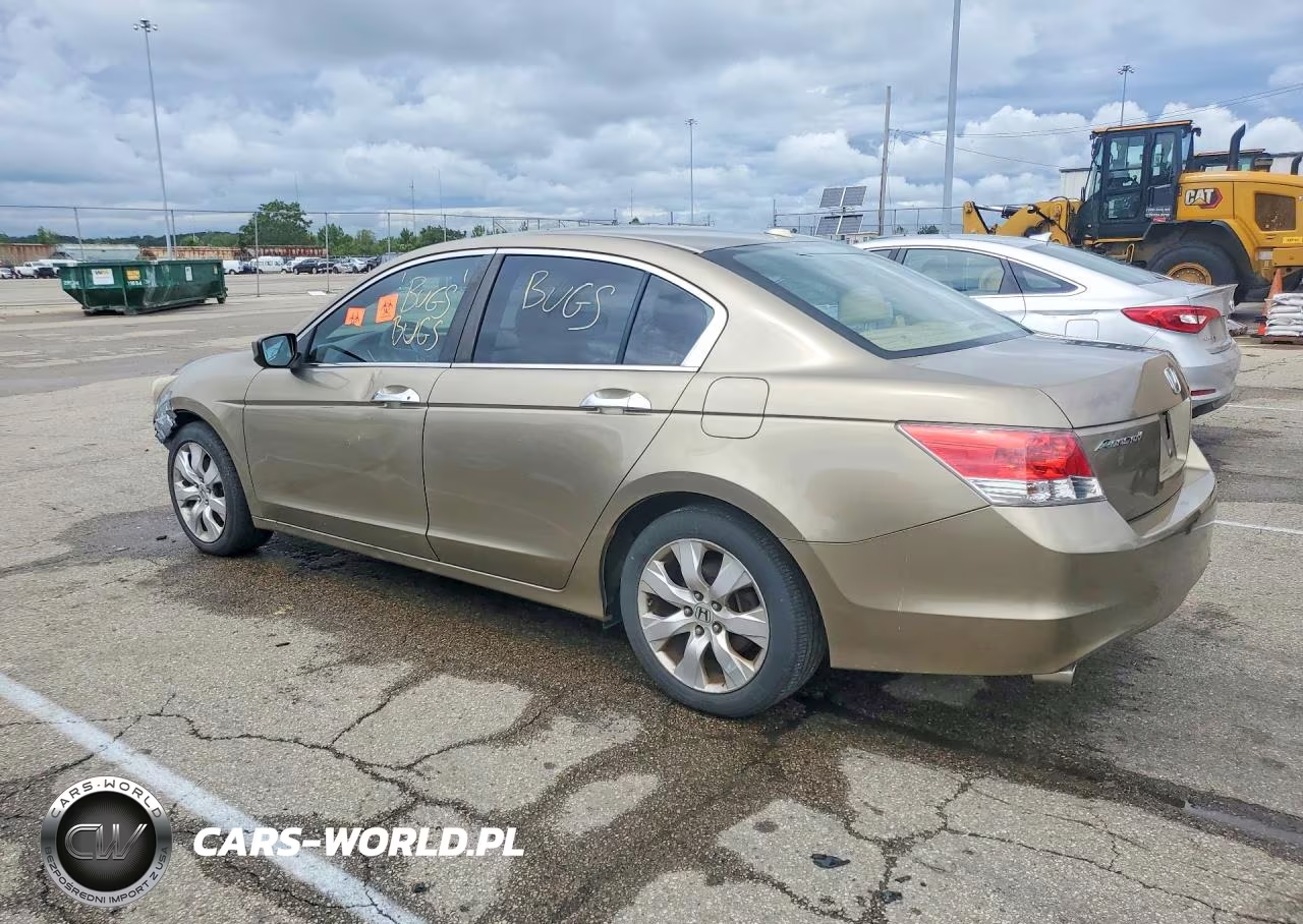 2010 Honda Accord Exl VIN:1HGCP3F81AA001324 - 2
