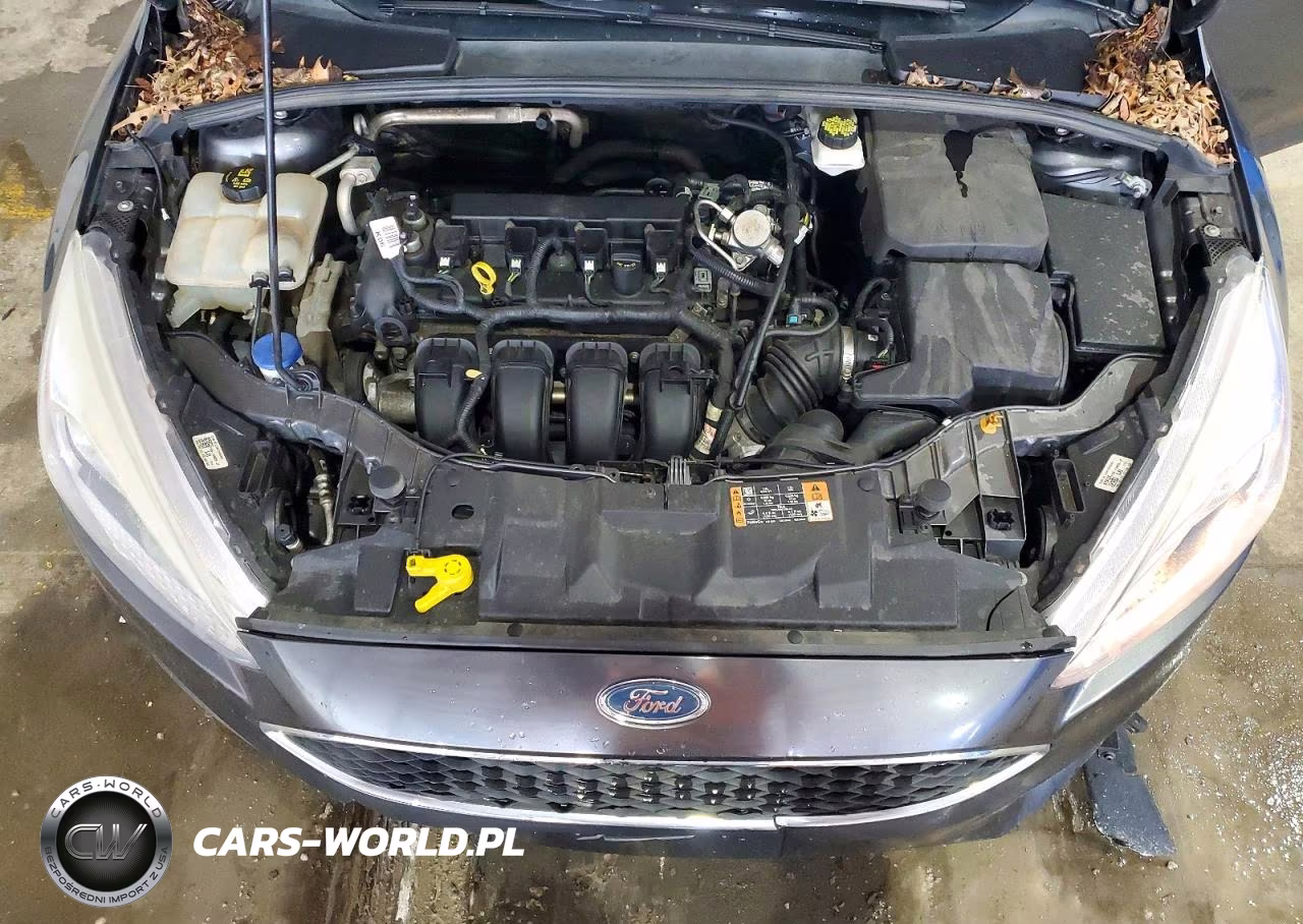 2017 Ford Focus Se VIN:1FADP3K22HL346421 - 11