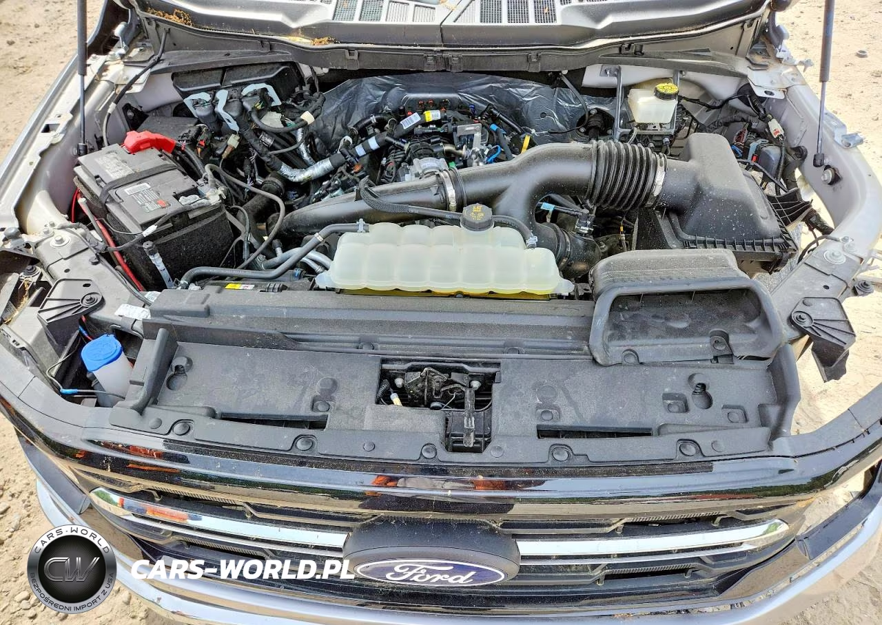 2024 Ford F150 Xlt VIN:1FTEW3LP7RKE63012 - 11