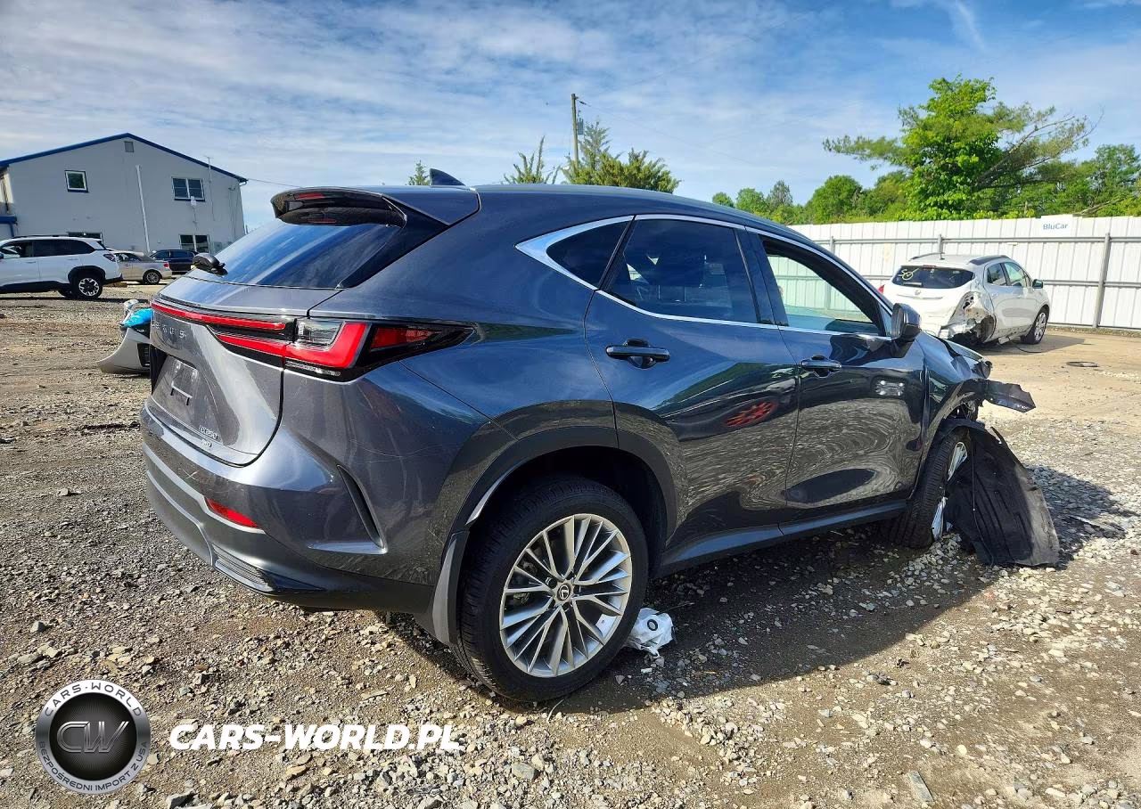 2025 Lexus Nx 350 Premium VIN:2T2GGCEZ5SC092925 - 3