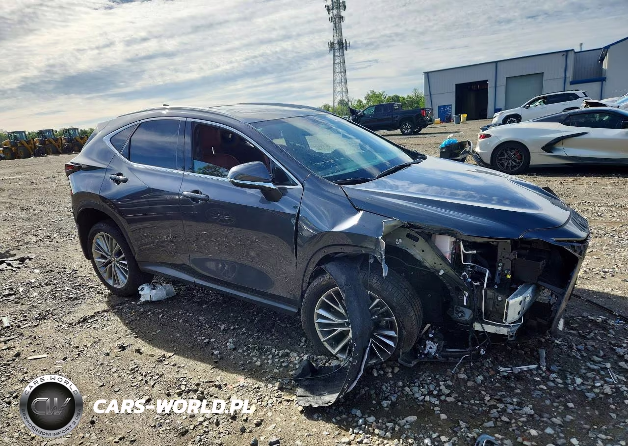 2025 Lexus Nx 350 Premium VIN:2T2GGCEZ5SC092925 - 4