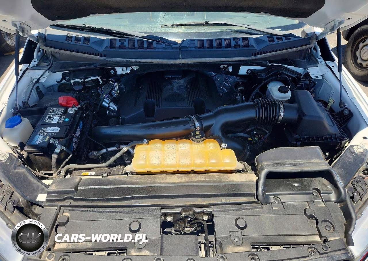 2018 Ford F150 Supercrew VIN:1FTEW1EG1JKE07685 - 11