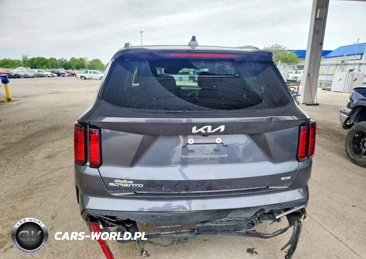 2024 Kia Sorento Ex VIN:KNDRHDLG4R5248154 - 6