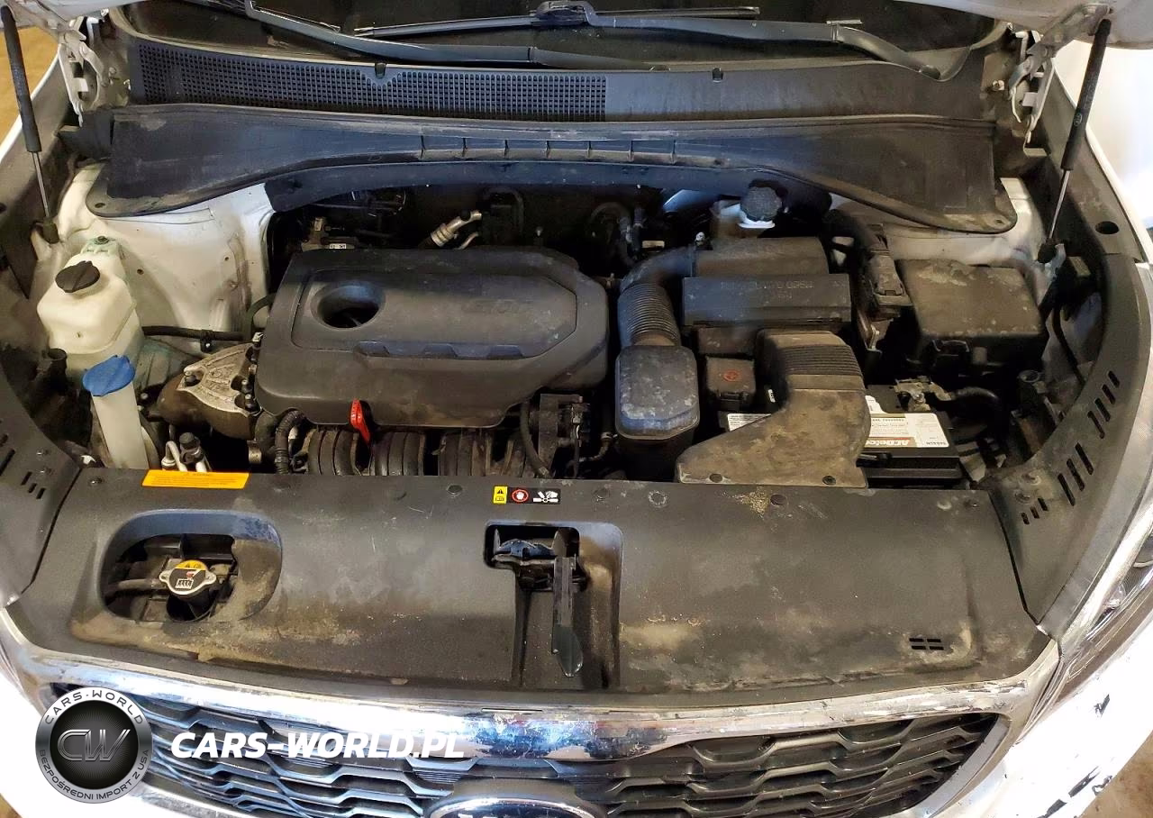 2019 Kia Sorento Lx VIN:5XYPG4A35KG436544 - 12
