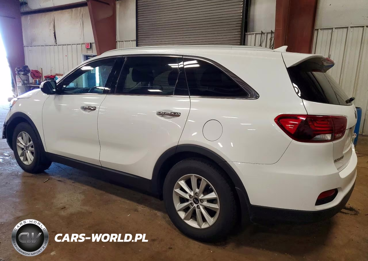 2019 Kia Sorento Lx VIN:5XYPG4A35KG436544 - 2