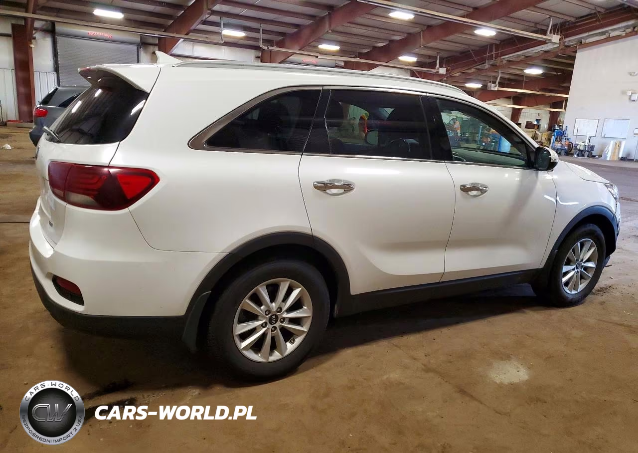 2019 Kia Sorento Lx VIN:5XYPG4A35KG436544 - 3