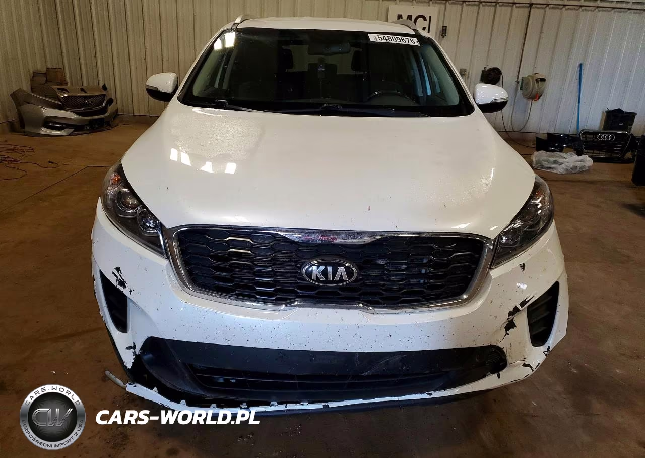 2019 Kia Sorento Lx VIN:5XYPG4A35KG436544 - 5