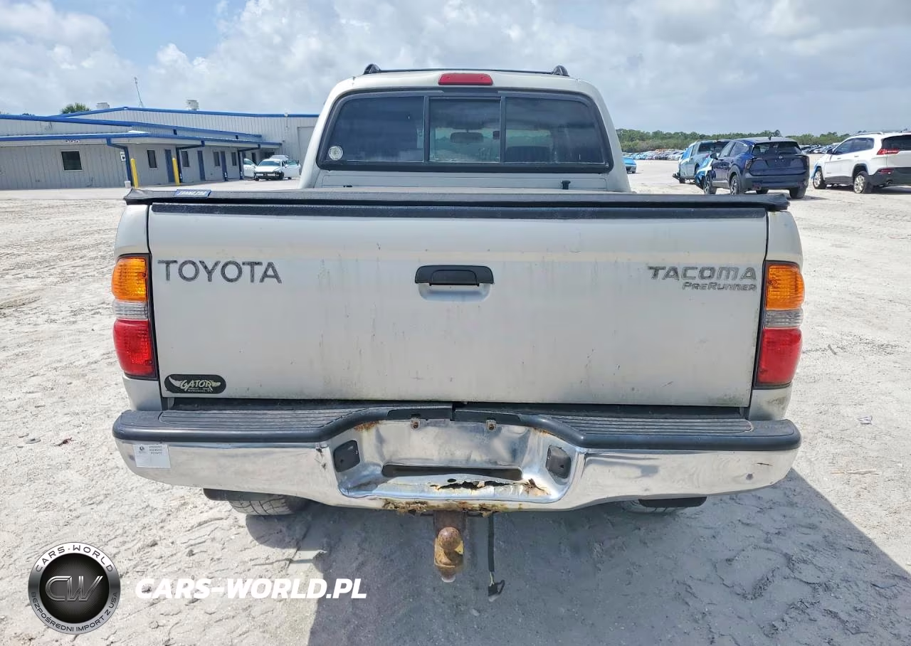 2002 Toyota Tacoma Double Cab Prerunner VIN:5TEGM92N62Z073862 - 6
