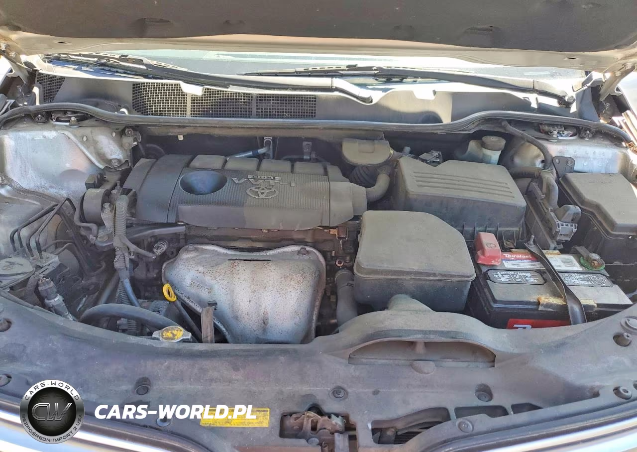 2009 Toyota Venza Fwd 4Cyl VIN:4T3ZE11A29U017204 - 12