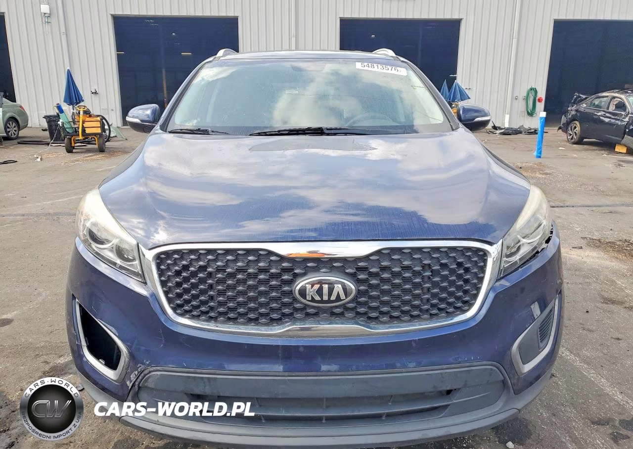 2016 Kia Sorento Lx VIN:5XYPG4A36GG118469 - 5