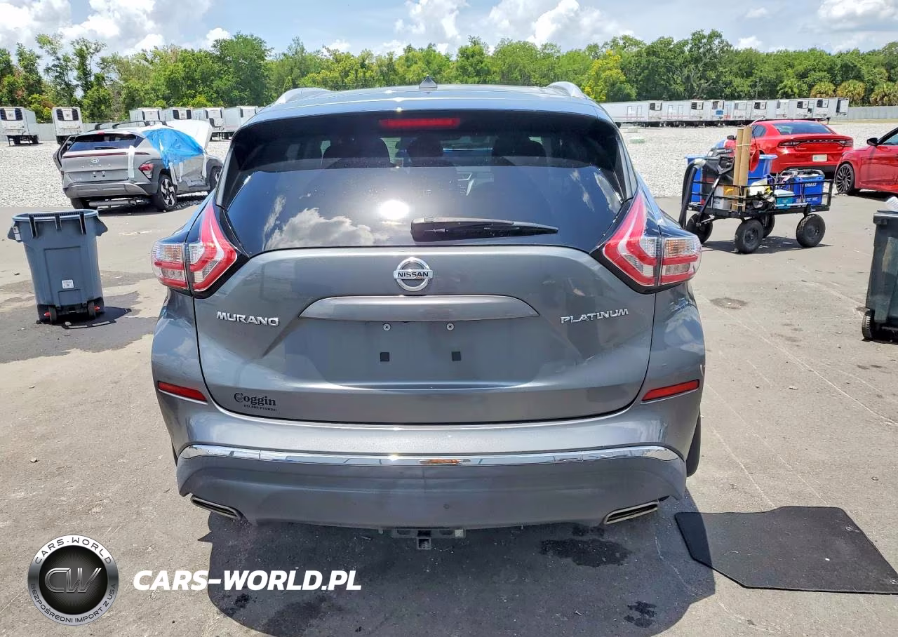 2015 Nissan Murano Platinum VIN:5N1AZ2MGXFN246252 - 6