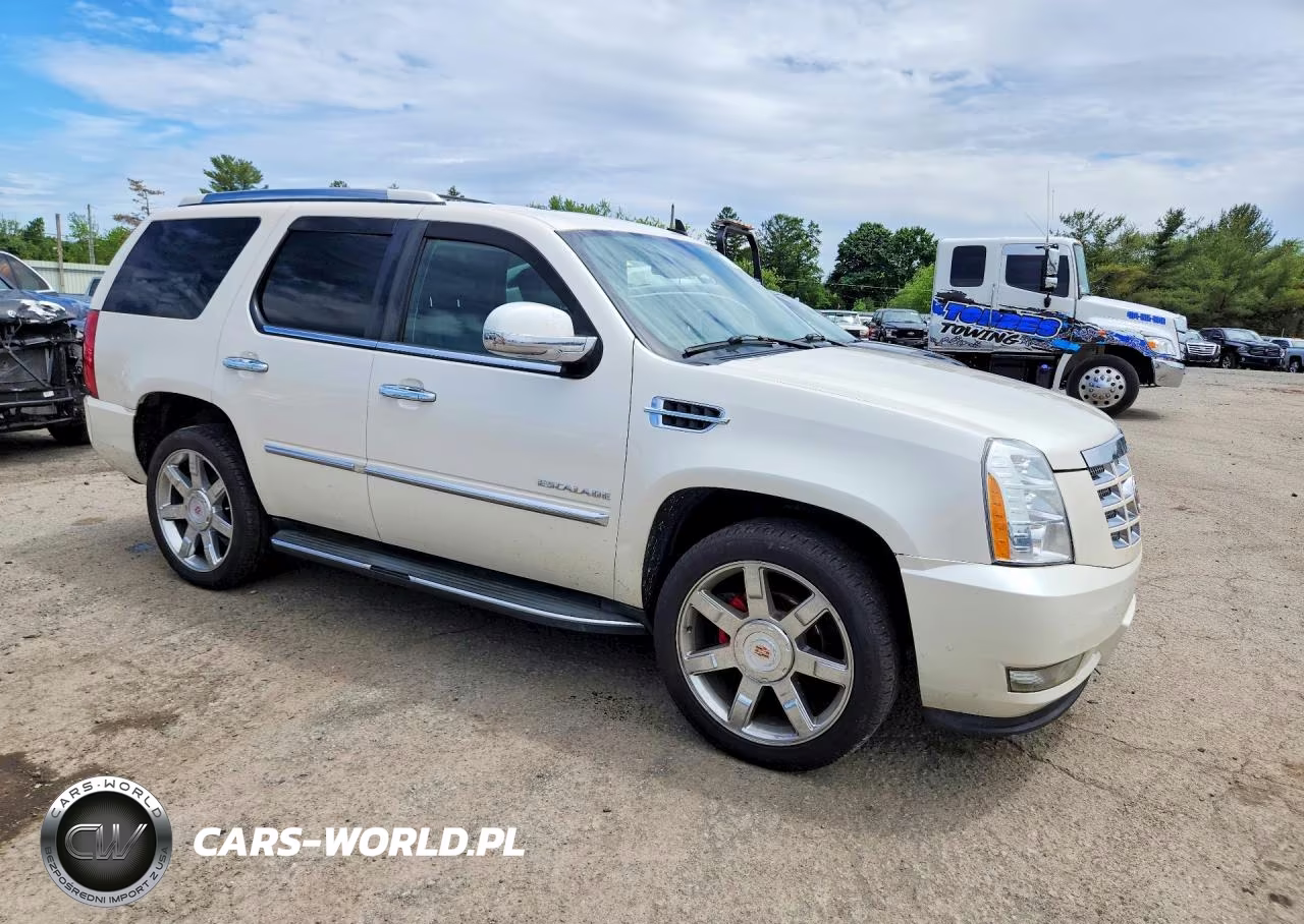 2012 Cadillac Escalade Luxury VIN:1GYS4BEF1CR283184 - 4