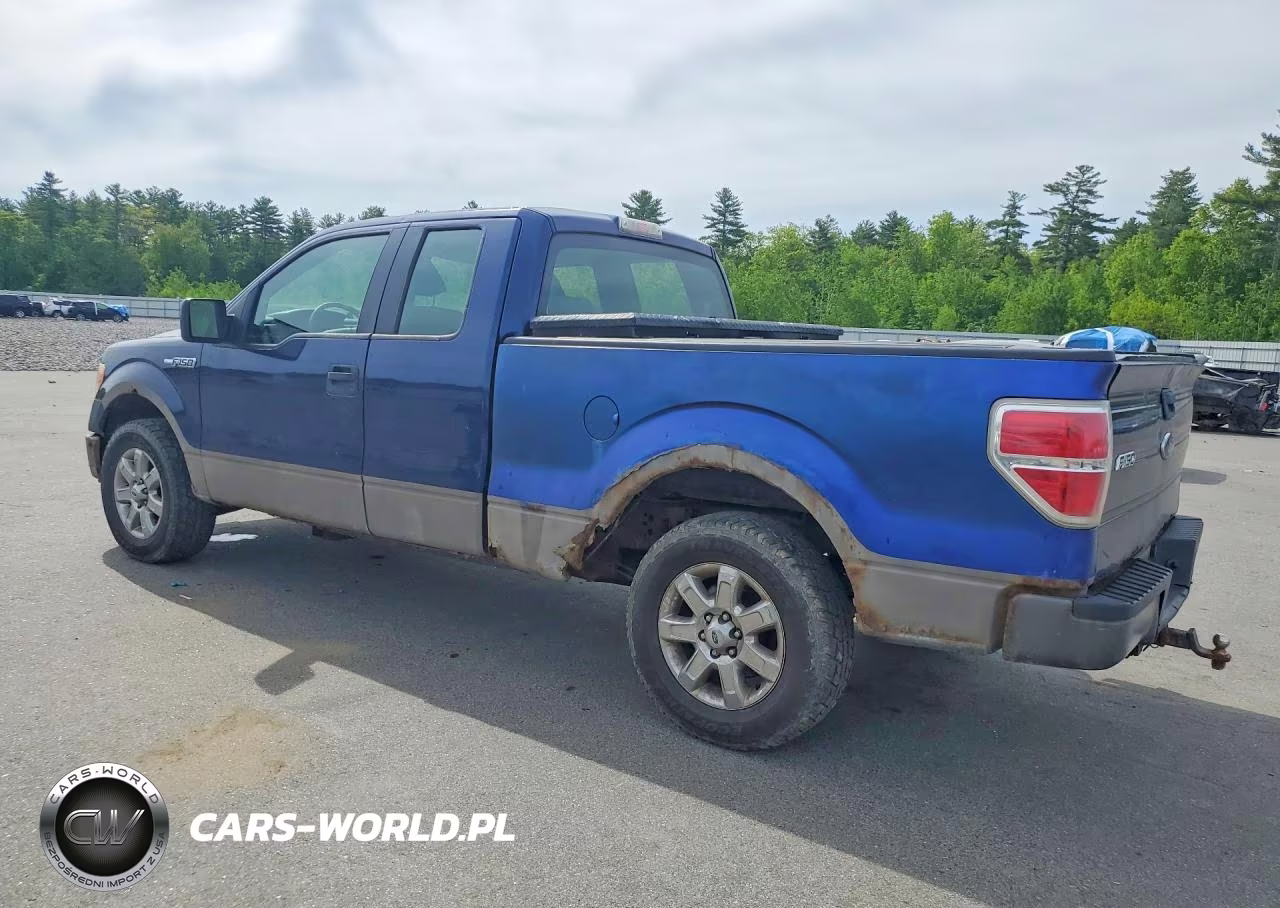 2009 Ford F150 Super Cab VIN:1FTRX12W89KB12024 - 2
