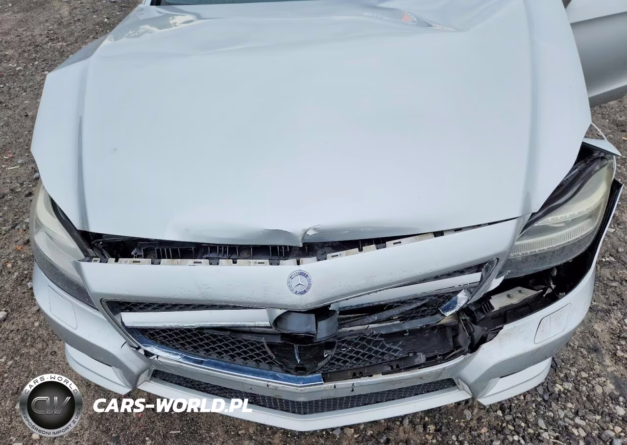 2013 Mercedes-Benz Cls 550 VIN:WDDLJ7DB4DA080584 - 11
