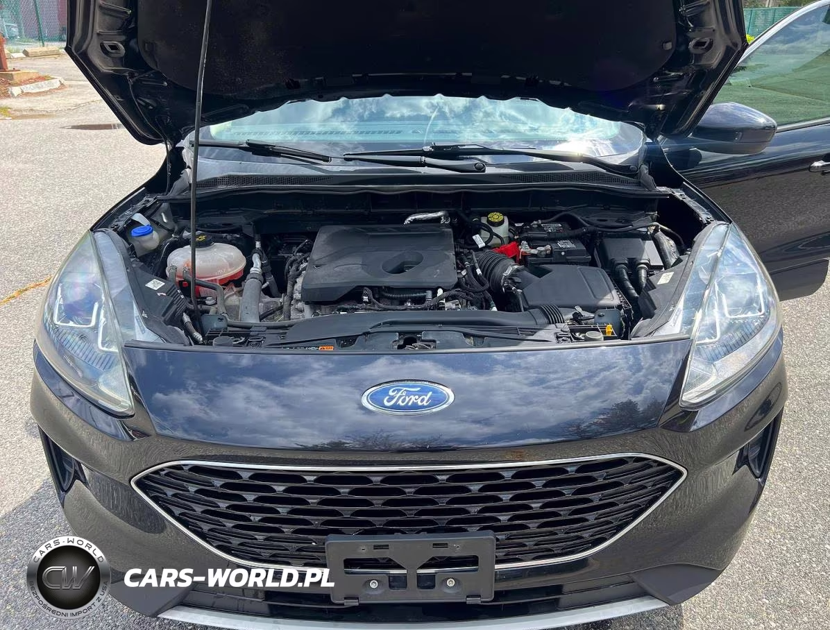 2020 Ford Escape Se VIN:1FMCU9G66LUA20651 - 7