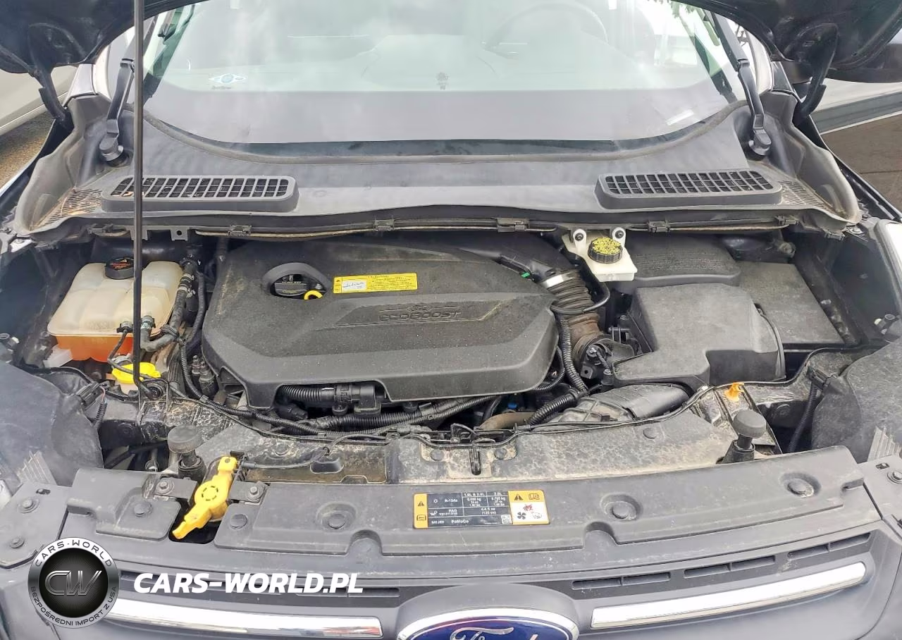 2014 Ford Escape Se VIN:1FMCU9GXXEUB06685 - 12