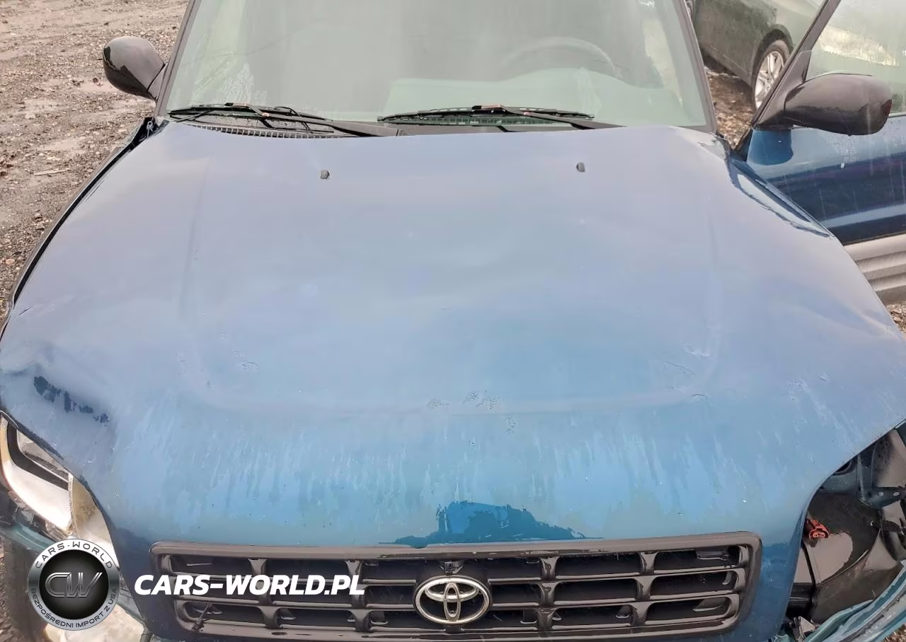 2000 Toyota Rav4 Base VIN:JT3HP10V5Y0243903 - 11