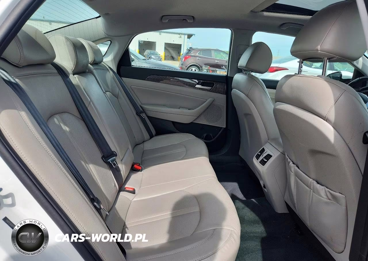 2019 Hyundai Sonata Limited VIN:5NPE34AF9KH808568 - 10