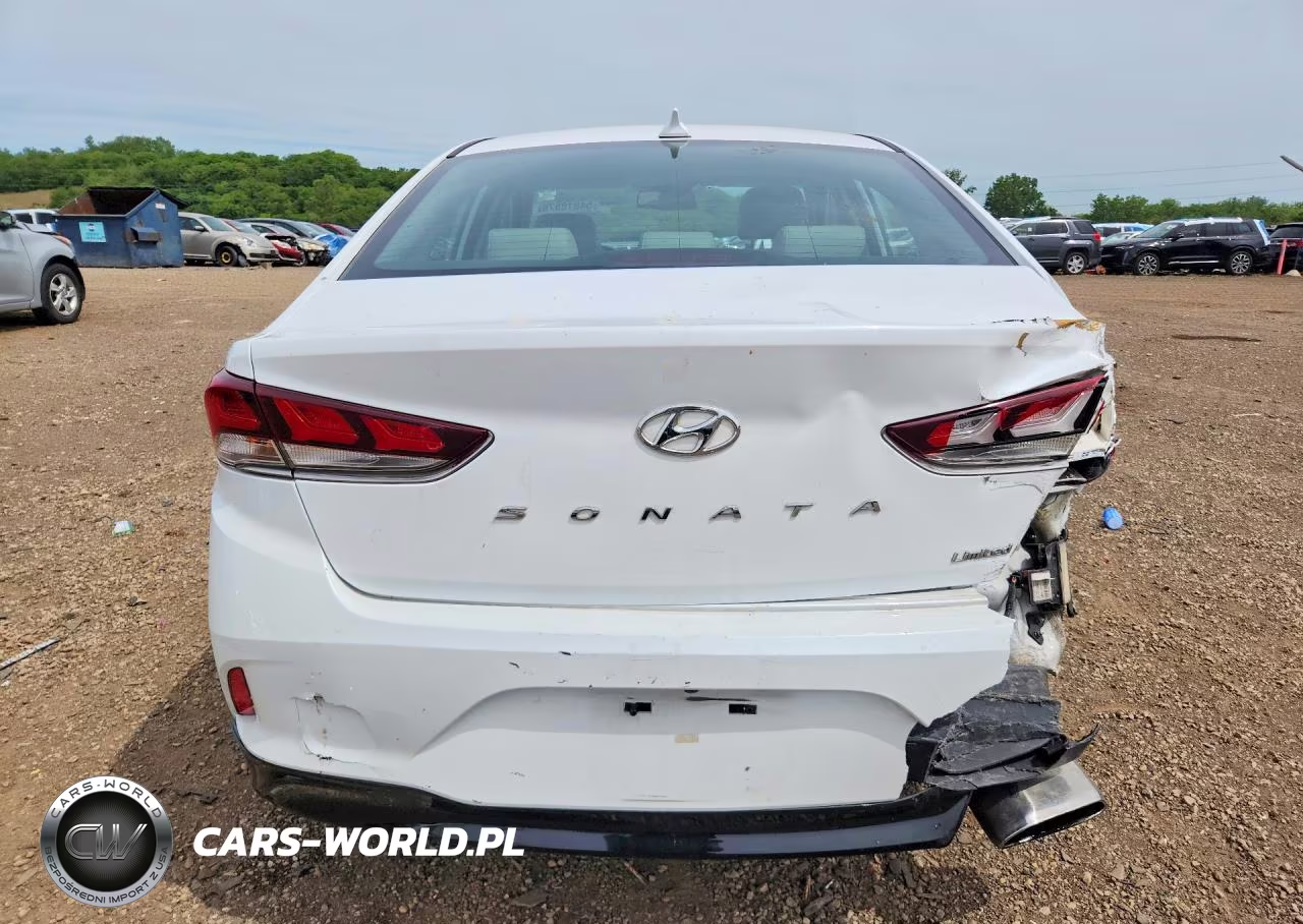 2019 Hyundai Sonata Limited VIN:5NPE34AF9KH808568 - 6