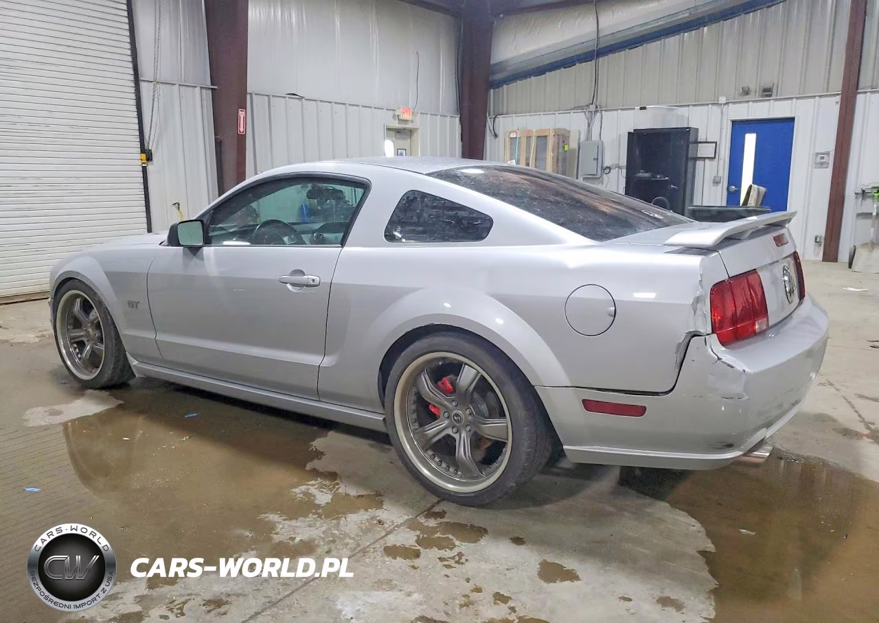 2005 Ford Mustang Gt VIN:1ZVFT82H655242205 - 2