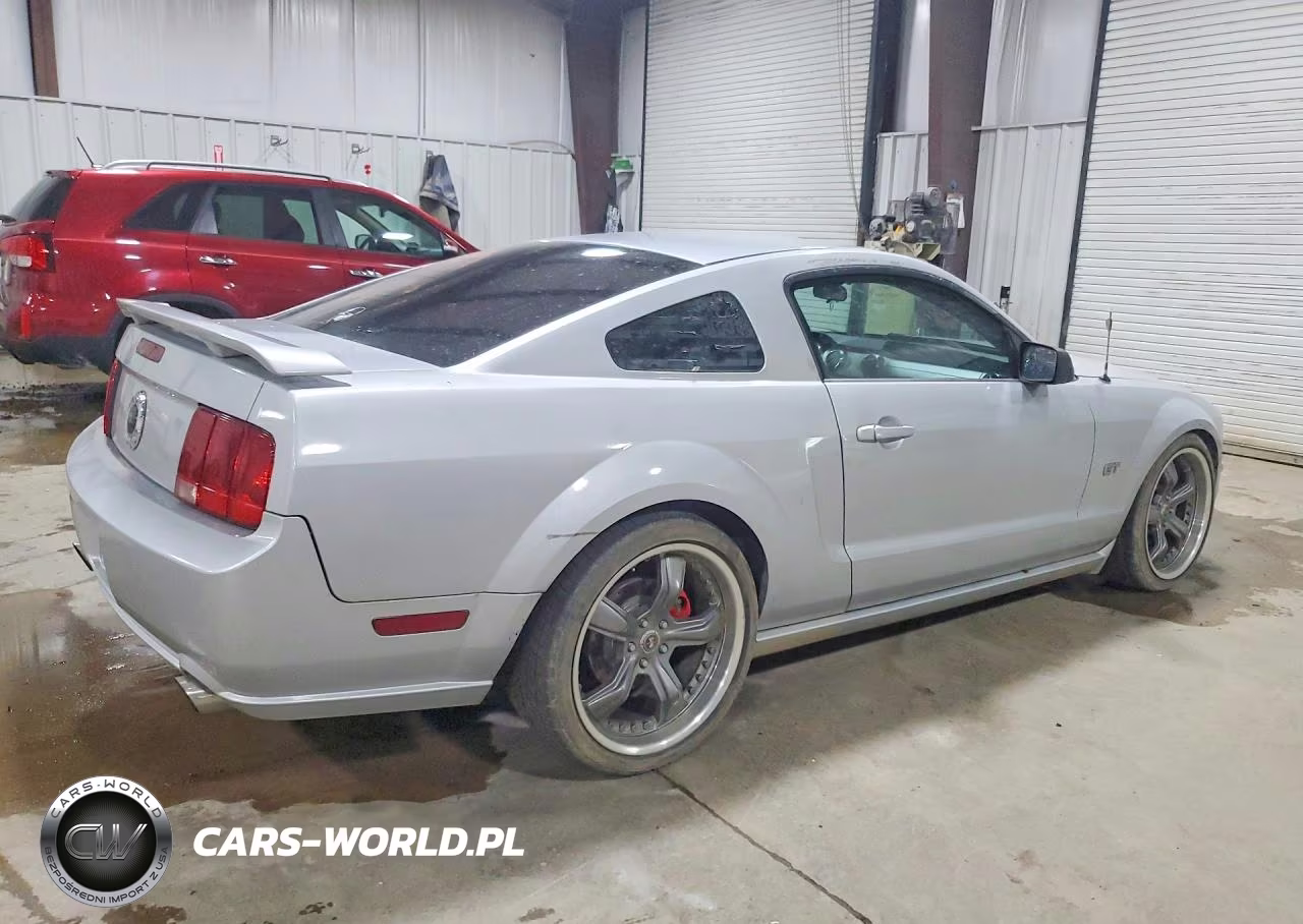 2005 Ford Mustang Gt VIN:1ZVFT82H655242205 - 3