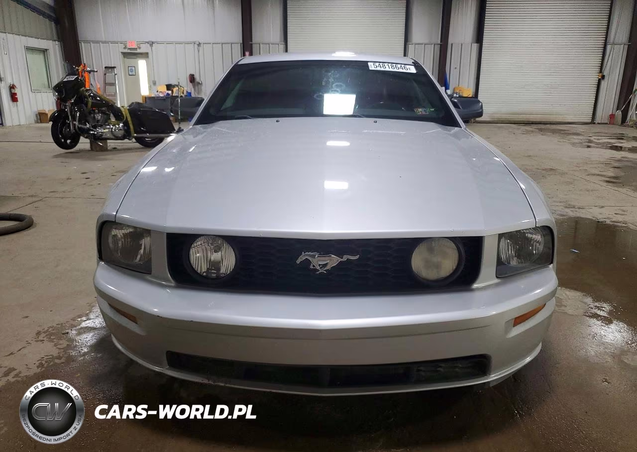 2005 Ford Mustang Gt VIN:1ZVFT82H655242205 - 5