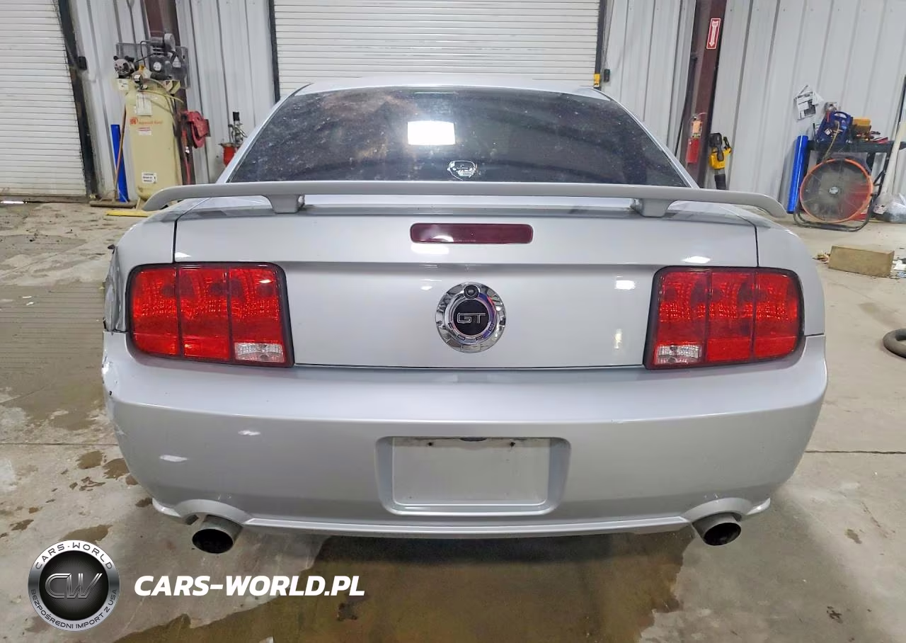 2005 Ford Mustang Gt VIN:1ZVFT82H655242205 - 6